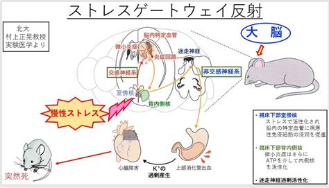 病氣